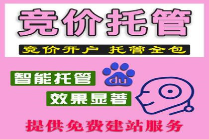 SEM托管服务案例：优化策略与效果展示